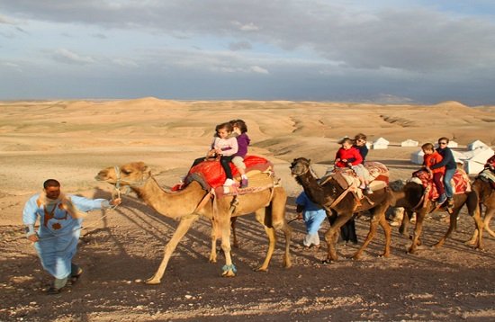 Day trip Agafay Desert camel ride experience near Marrakech