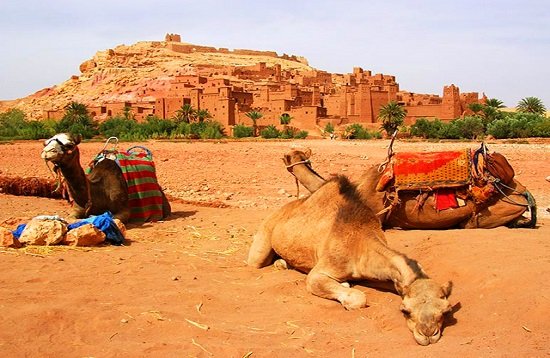 Day trip Ouarzazate Ait Benhaddou UNESCO kasbah from Marrakech