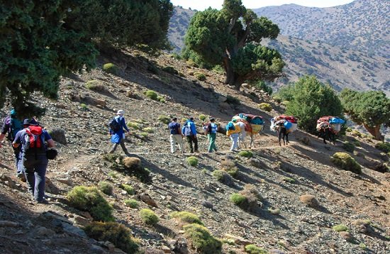 Trekking to Atlas Mountains and Berber Villages from Marrakech